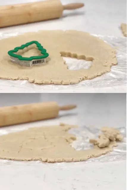 Rolled out cookie dough with tree cookie cutter