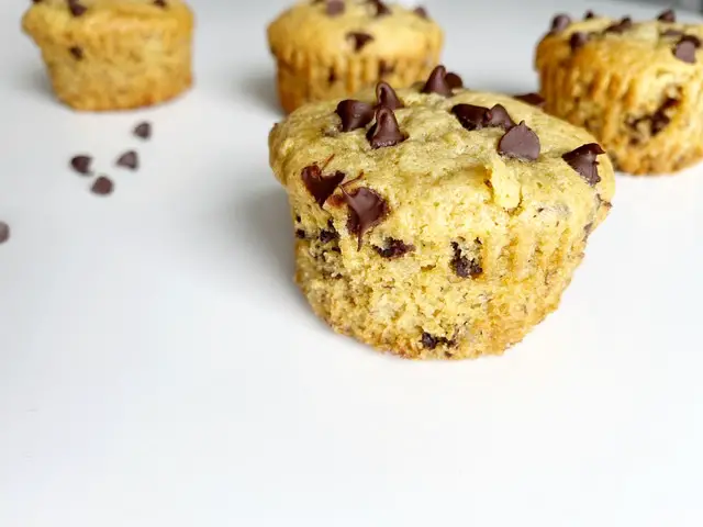 gluten free dairy free chocolate chip muffin