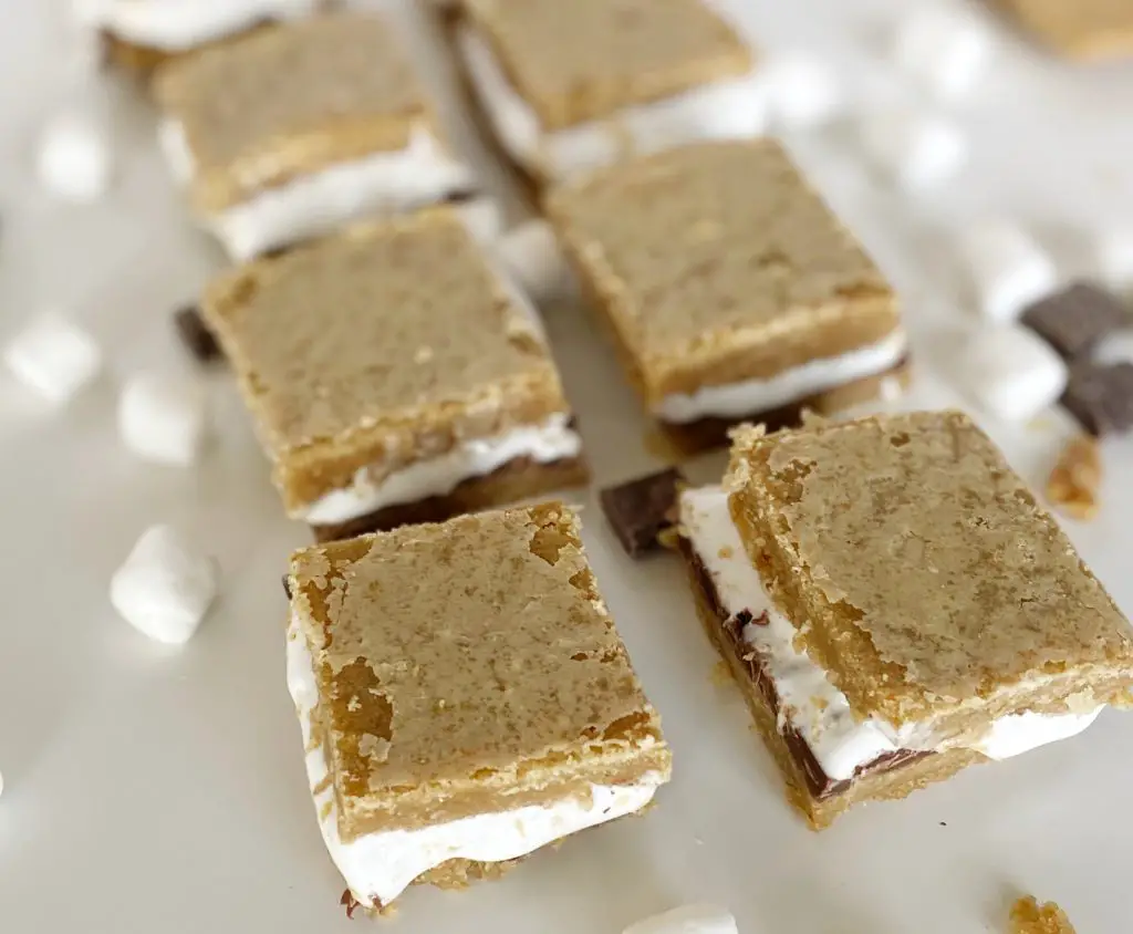 Close up of an easy gluten-free s’mores cookie bar