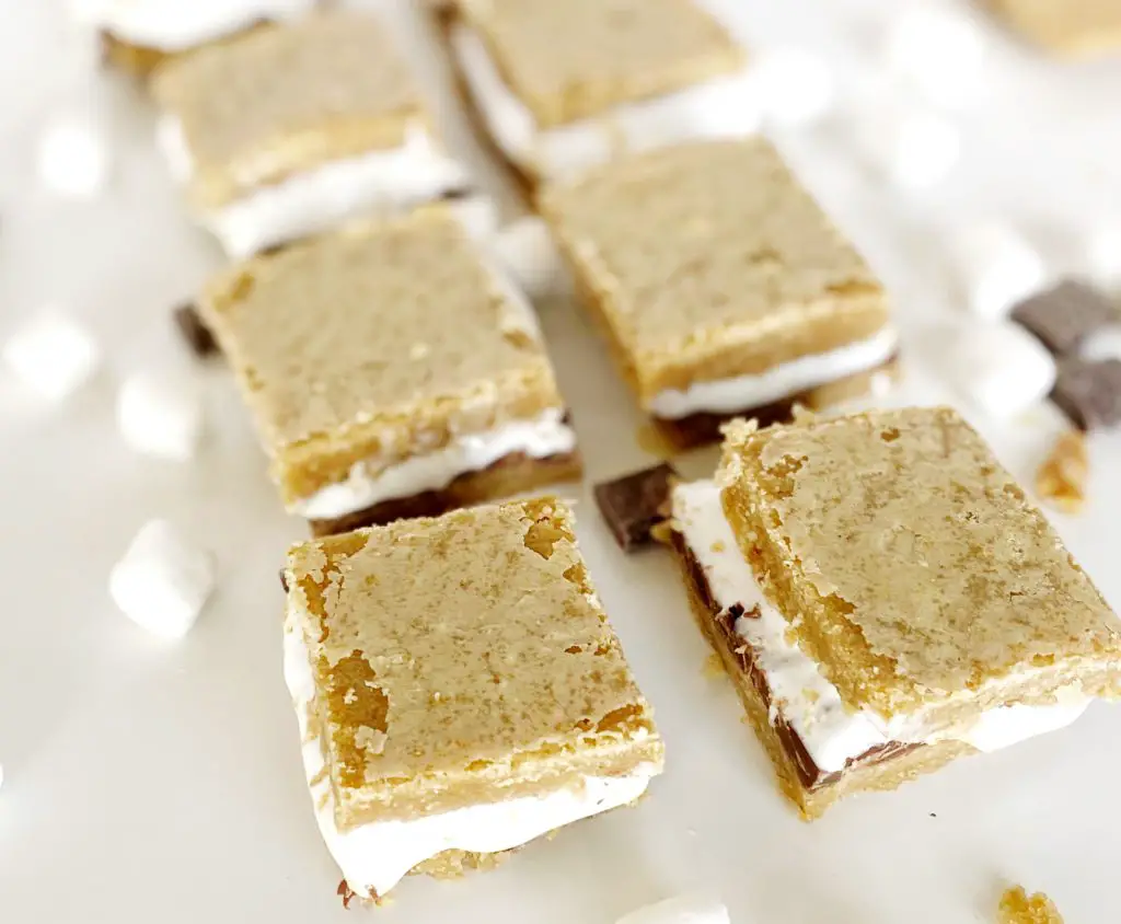Close up of an easy gluten-free s’mores cookie bar recipe (dairy-free option)
