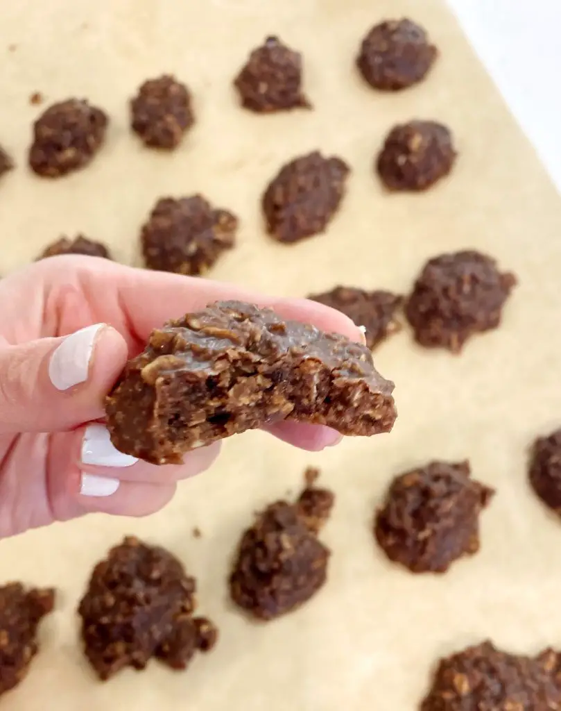 hand holding gluten-free no-bake cookie 