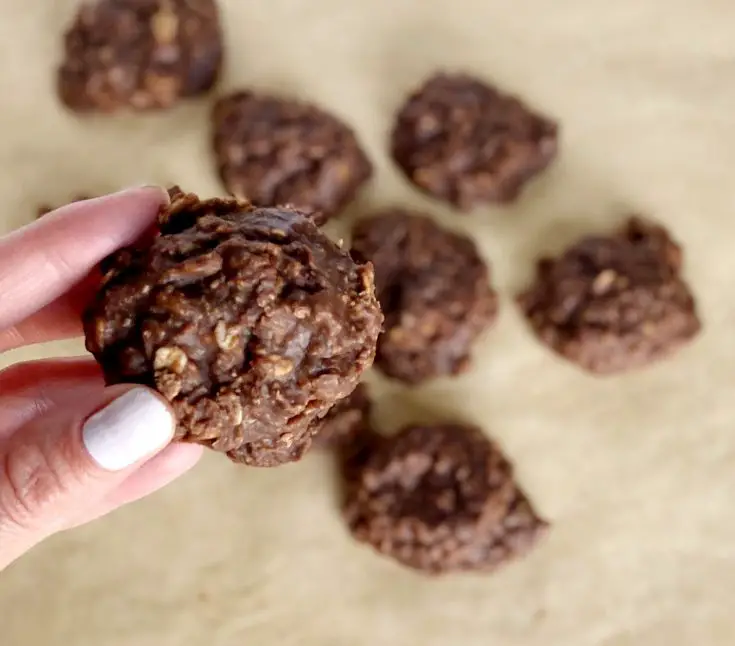 hand holding gluten-free no-bake cookie